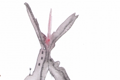 Markus Holzinger small format paintings