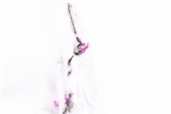 Markus Holzinger small format paintings