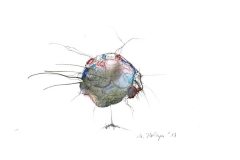 Markus Holzinger small format paintings