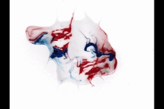 flesh_fluidity
