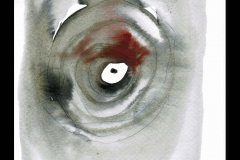 markus_holzinger_ciclone