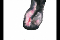 markus_holzinger_fil_rouge