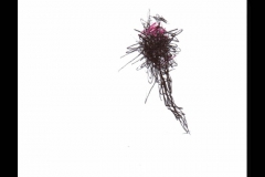 Markus Holzinger small format paintings