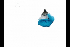 ascesi
