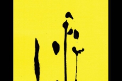 untiteled