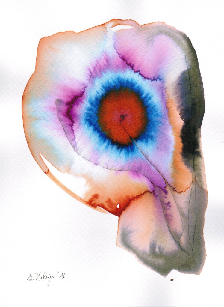 markus-holzinger-febbraio-2016 (9)